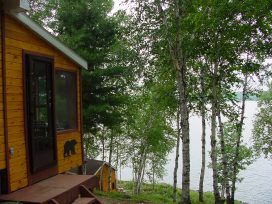 bear maw paw outside overlooking lake