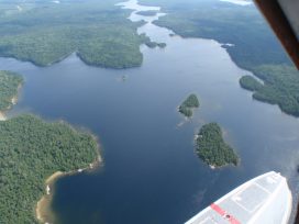 biggs aerial