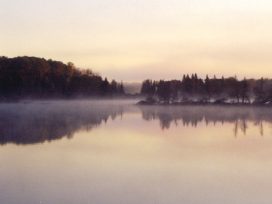 bonar north 4