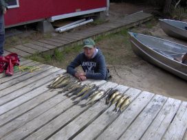 bonar south caught fish