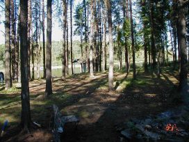 lemoine woods