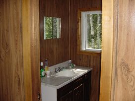 lemoine sinks