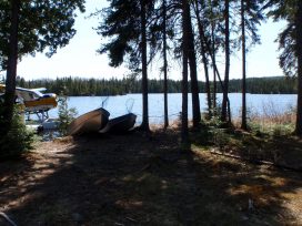 little lemoine shoreline