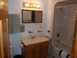 log suites bathroom