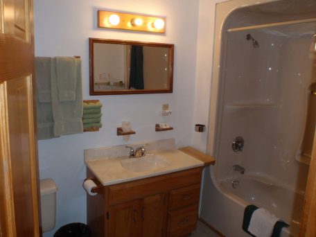 log suites bathroom