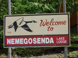 loon cabin sign