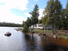 oswald shoreline