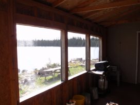 oswald windows