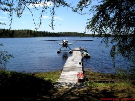 shawmere dock