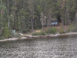 shiners from lake