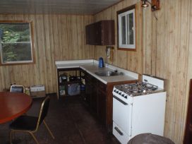 shiners kitchen