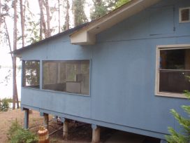 shiners side view