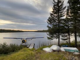 View from the cottage at Walleye Lake