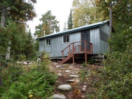 arbeesee outside