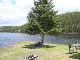 point lake view